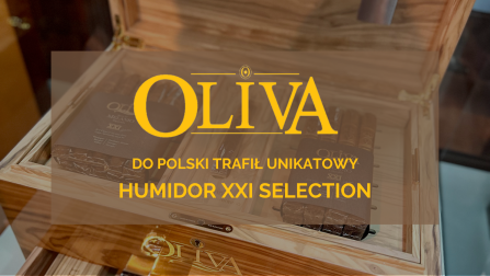 Humidor Oliva XXI Selection