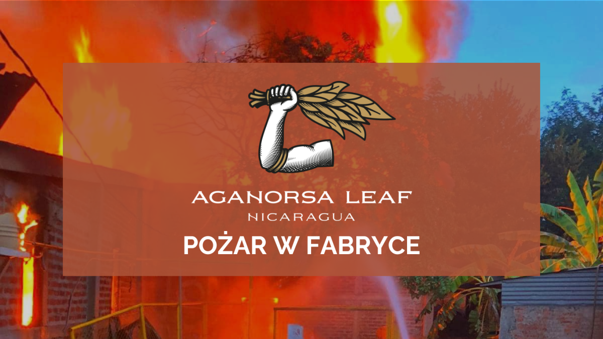 Pożad w fabryce Aganorsa Leaf