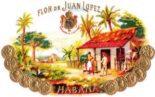 Flor de Juan López