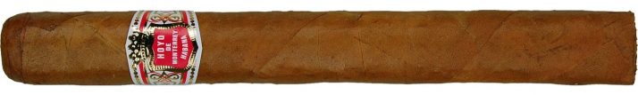 Hoyo de Monterrey Palmas Extra